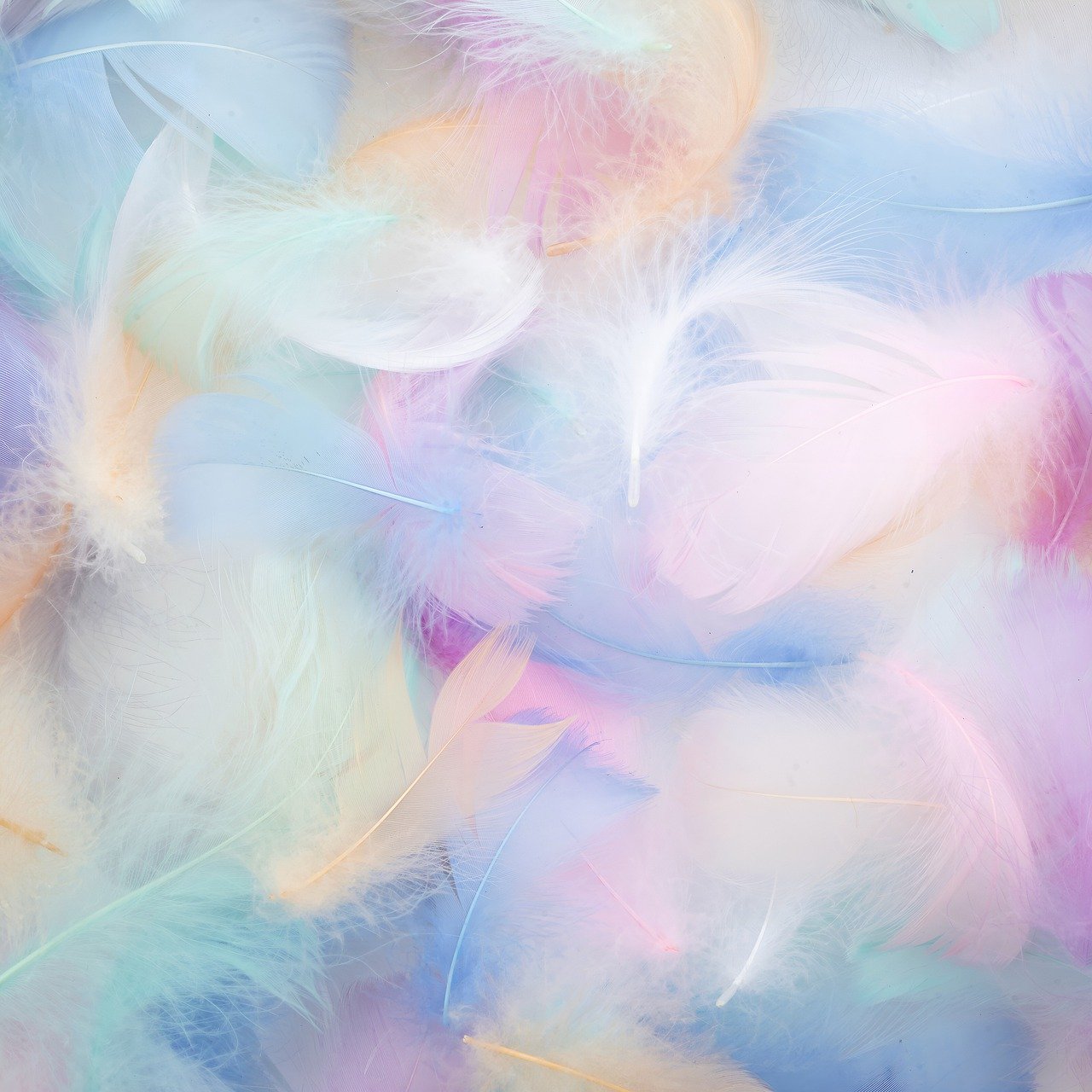 https://jewellofconsciousness.com/wp-content/uploads/2024/06/feathers-7800282_1280.jpg