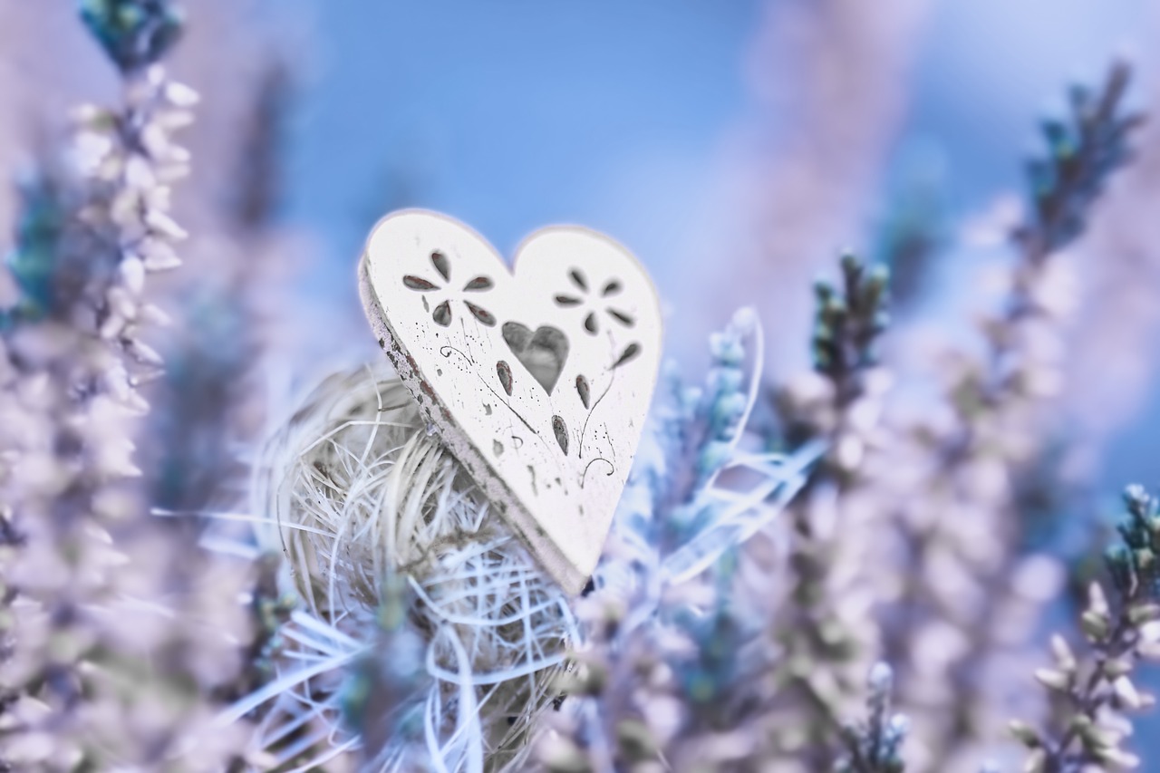 https://jewellofconsciousness.com/wp-content/uploads/2024/06/lavender-6934790_1280.jpg